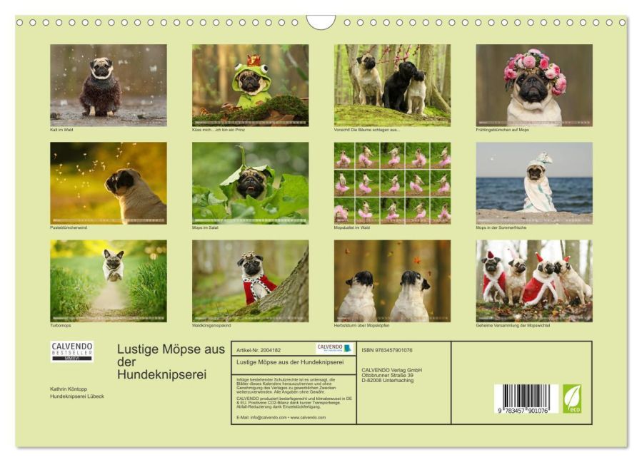 InsideView 5