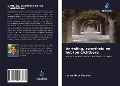 Cover-Bild zum Titel 'Vertaling, zwartheid en het (on)zichtbare' von 'Lauro Maia Amorim'