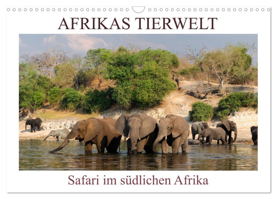 Afrikas Tierwelt, Safari im südlichen Afrika (Wandkalender 2026 DIN A3 quer), CALVENDO Monatskalender - Christian Heeb