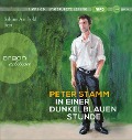 Cover-Bild zum Titel 'In einer dunkelblauen Stunde' von 'Peter Stamm'