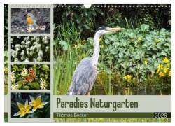 Cover-Bild zum Titel 'Paradies Naturgarten (Wandkalender 2026 DIN A3 quer), CALVENDO Monatskalender' von 'Thomas Becker'