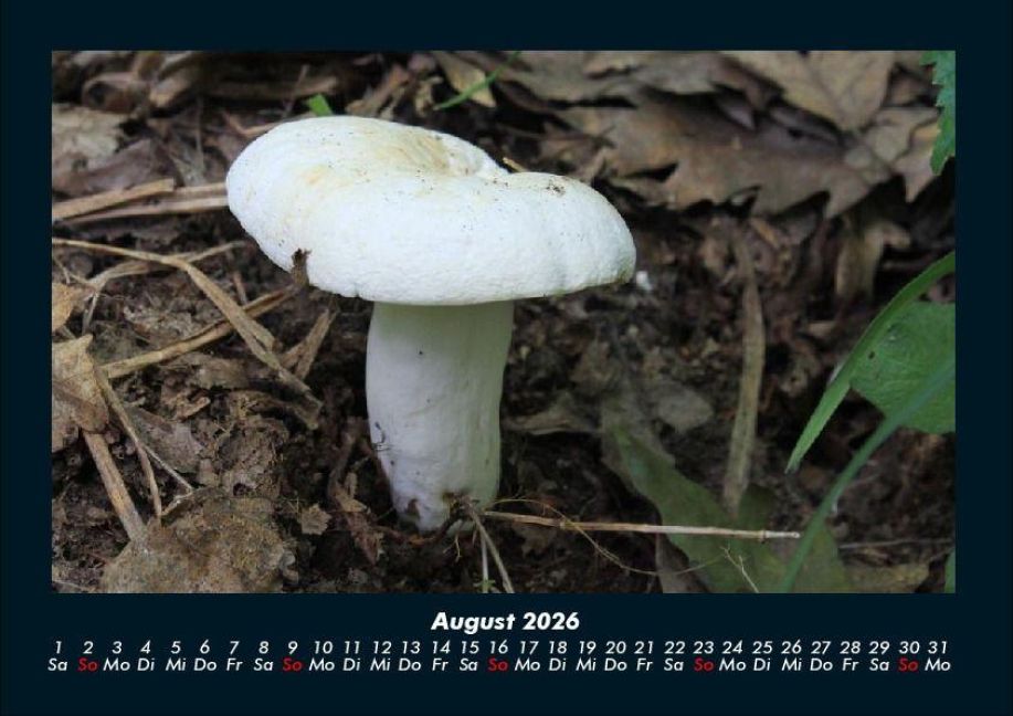 InsideView 12