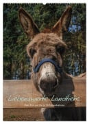 Cover-Bild zum Titel 'Liebenswerte Landtiere (Wandkalender 2026 DIN A2 hoch), CALVENDO Monatskalender' von 'Jeanette Wüstehube'