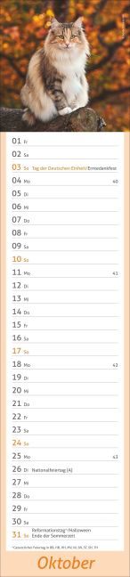 InsideView 10