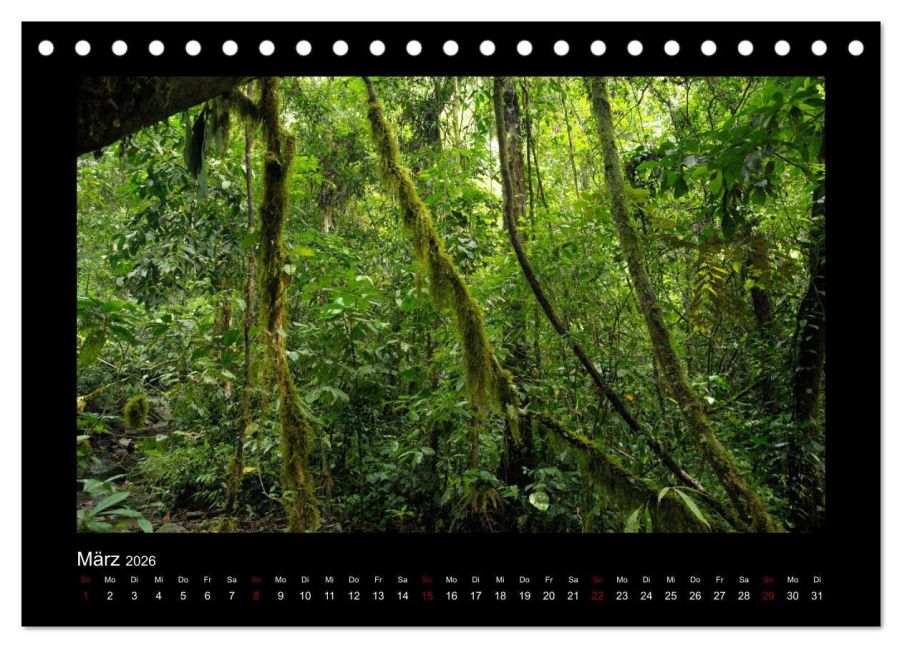 InsideView 8