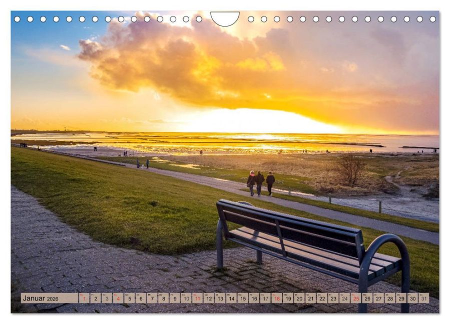 InsideView 6