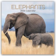 Elephants - Elefanten 2026 - 16-Monatskalender - The Gifted