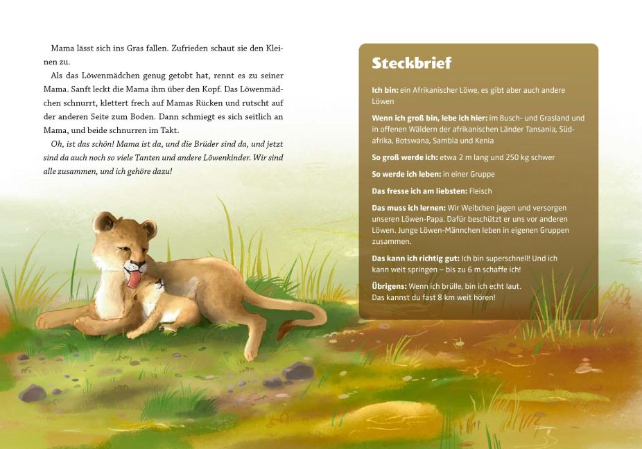 InsideView 4