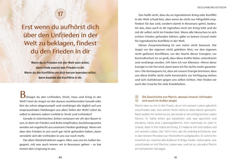 InsideView 5