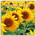 Sunflowers - Sonnenblumen 2025 - 16-Monatskalender - Robin Red
