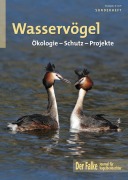 Wasservögel - 