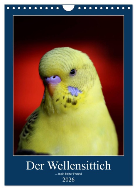 Der Wellensittich - mein bester Freund (Wandkalender 2026 DIN A4 hoch), CALVENDO Monatskalender - Björn Bergmann