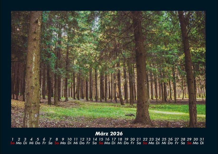 InsideView 7
