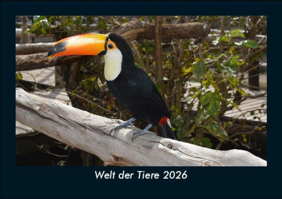 Welt der Tiere 2026 Fotokalender DIN A5 - Tobias Becker