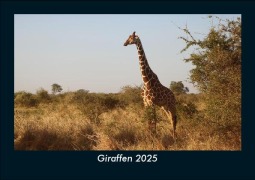 Cover-Bild zum Titel 'Giraffen 2025 Fotokalender DIN A5' von 'Tobias Becker'