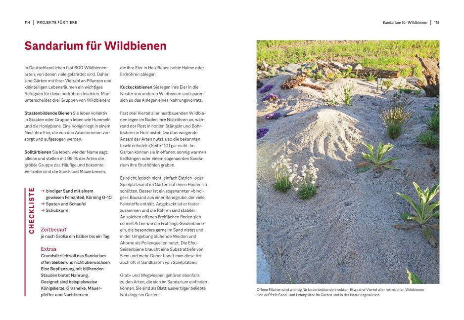 InsideView 6