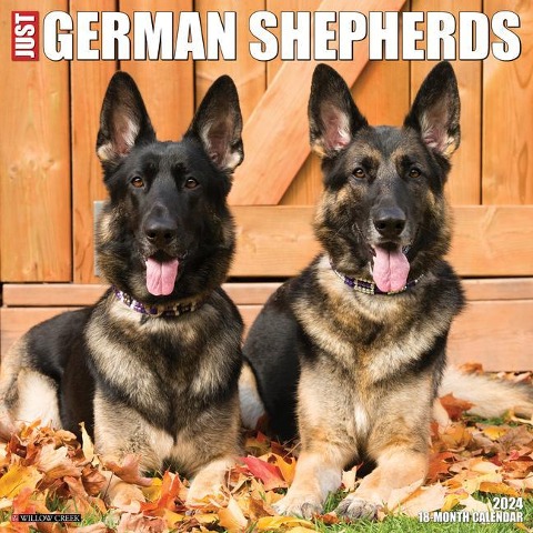 Just German Shepherds 2024 12 X 12 Wall Calendar - Willow Creek Press