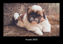 Cover-Bild zum Titel 'Hunde 2025 Fotokalender DIN A3' von 'Tobias Becker'