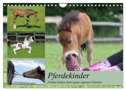 Pferdekinder - Fohlen haben ihren ganz eigenen Charme (Wandkalender 2026 DIN A4 quer), CALVENDO Monatskalender - Barbara Mielewczyk