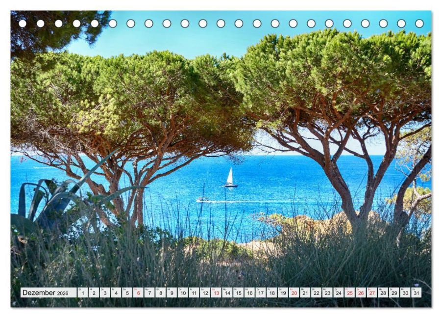 InsideView 4