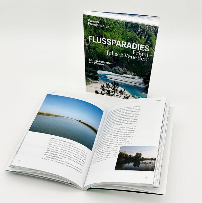 InsideView 4
