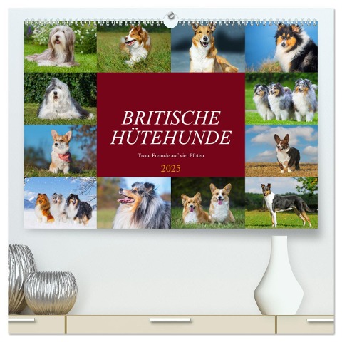 Britische Hütehunde - Treue Freunde auf vier Pfoten (hochwertiger Premium Wandkalender 2025 DIN A2 quer), Kunstdruck in Hochglanz - Sigrid Starick