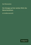 Cover-Bild zum Titel 'Der Einzige auf der weiten Welt; Ein Menschenleben' von 'Karl Bienenstein'