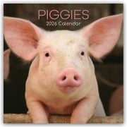 Piggies - Ferkel Schweine 2026 - 16-Monatskalender - Gifted Stationery Co. Ltd