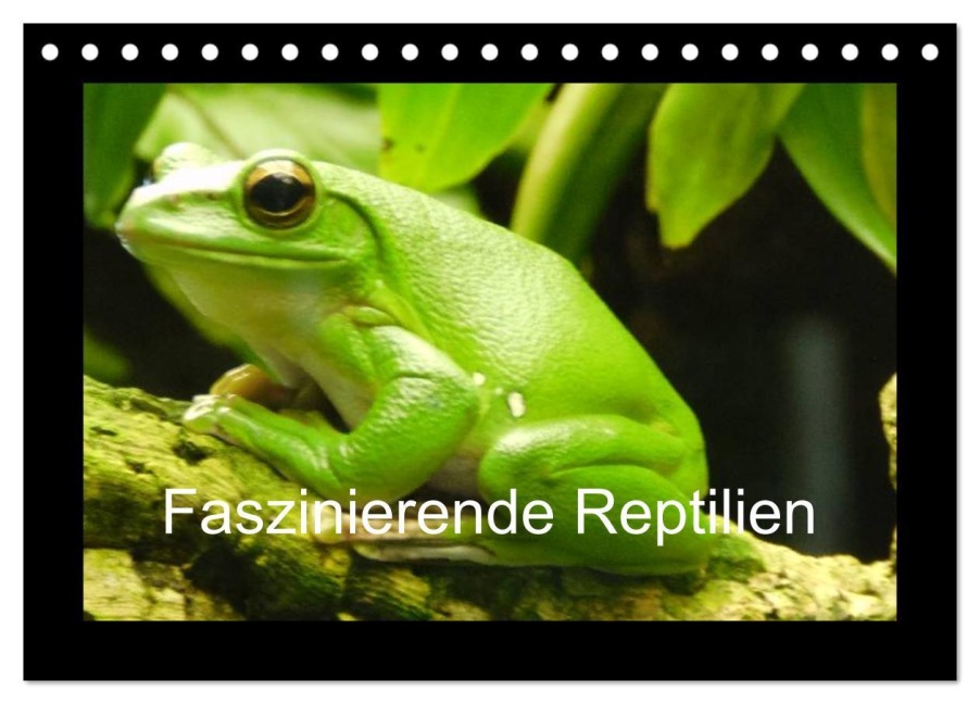 Faszinierende Reptilien (Tischkalender 2026 DIN A5 quer), CALVENDO Monatskalender - Sven Herkenrath