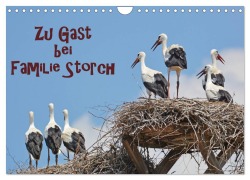 Cover-Bild zum Titel 'Zu Gast bei Familie Storch (Wandkalender 2026 DIN A4 quer), CALVENDO Monatskalender' von 'Gugigei Gugigei'