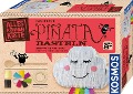 Piñata - 