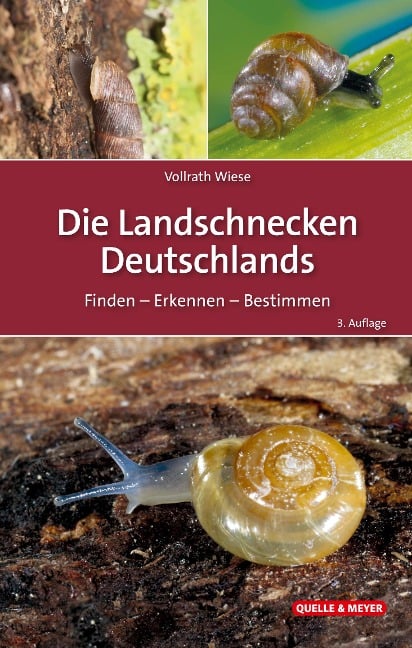 Die Landschnecken Deutschlands - Vollrath Wiese