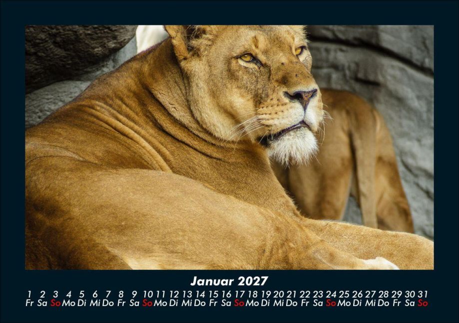 InsideView 5