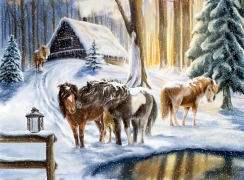 Cover-Bild zum Titel 'Wandkalender Winterpferde' von ''