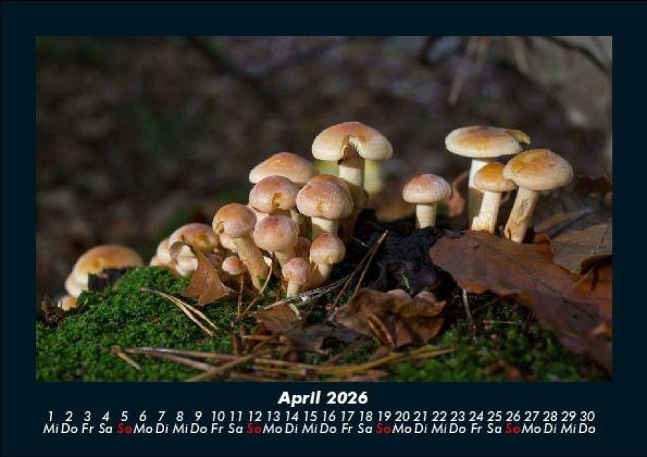 InsideView 8