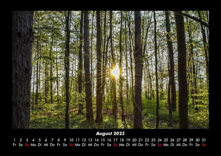 InsideView 12
