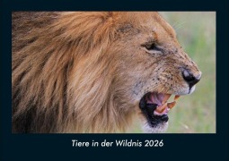 Cover-Bild zum Titel 'Tiere in der Wildnis 2026 Fotokalender DIN A4' von 'Tobias Becker'