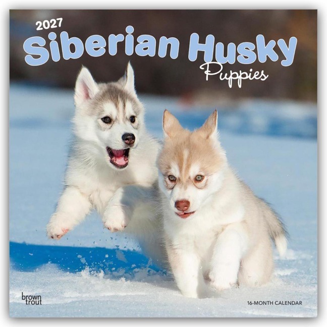 Siberian Husky Puppies - Siberian Husky Welpen 2027 - 16-Monatskalender - Browntrout Publishers