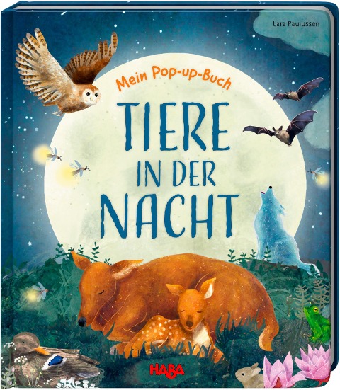 Mein Pop-up-Buch - Tiere in der Nacht - Becky Davies
