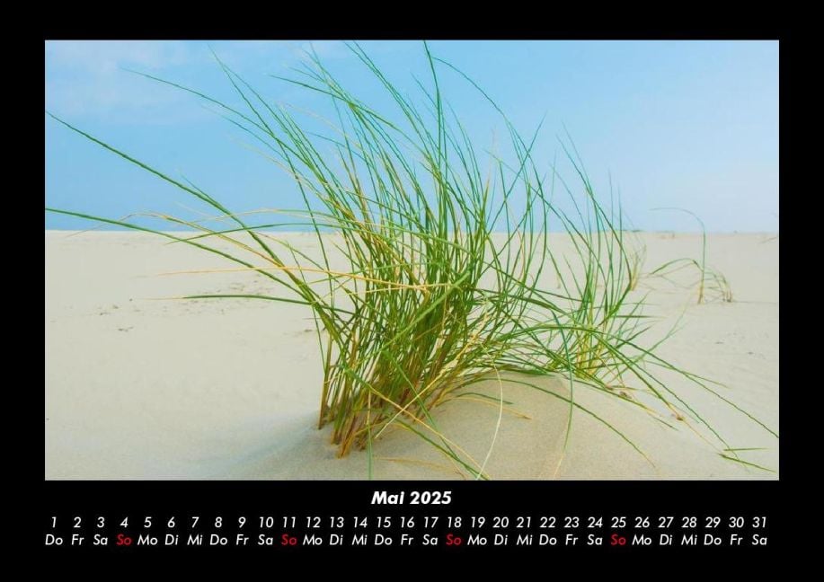 InsideView 9