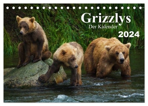 Grizzlys - Der Kalender (Tischkalender 2024 DIN A5 quer), CALVENDO Monatskalender - Max Steinwald