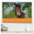 Faszination Rheinisch-Deutsches Kaltblut (hochwertiger Premium Wandkalender 2025 DIN A2 quer), Kunstdruck in Hochglanz - Babett Paul - Babetts Bildergalerie