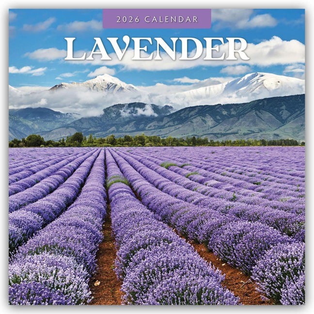 Lavender - Lavendel 2026 - 16-Monatskalender - Robin Red