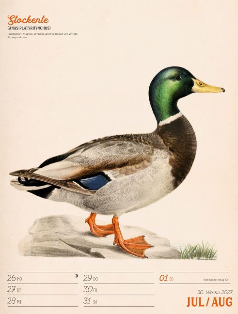 InsideView 34