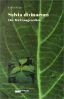 Salvia Divinorum - Der Wahrsagesalbei