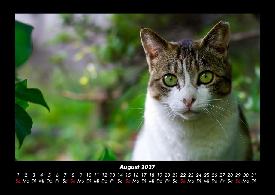 InsideView 12