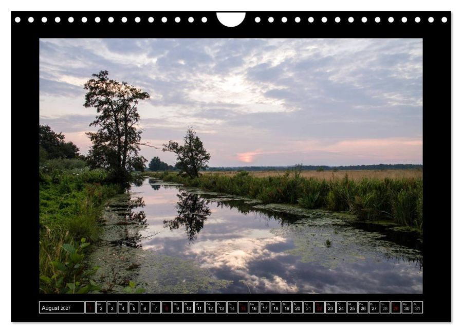 InsideView 13