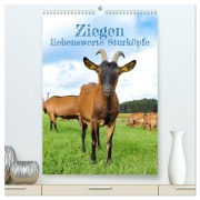 Cover-Bild zum Titel 'Ziegen - liebenswerte Sturköpfe (hochwertiger Premium Wandkalender 2026 DIN A2 hoch), Kunstdruck in Hochglanz' von 'Angela Merk'