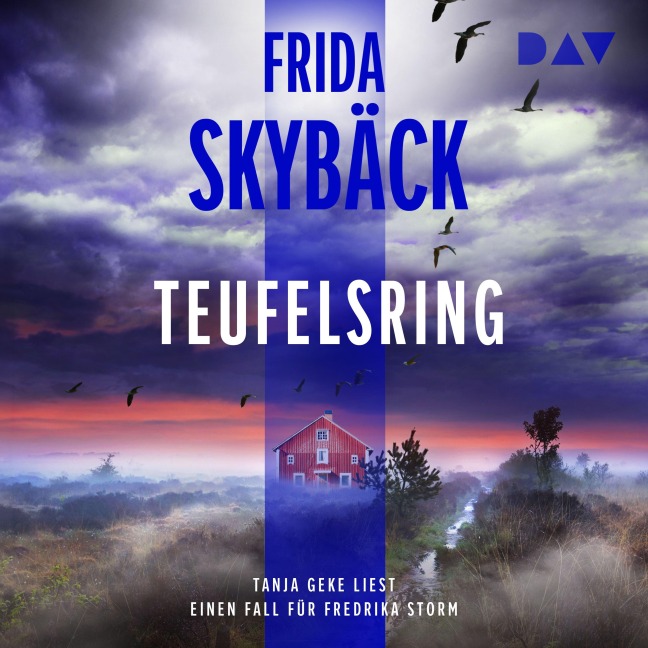 Teufelsring. Ein Fall für Fredrika Storm - Frida Skybäck
