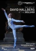 The Art of David Hallberg at the Bolshoi - David Hallberg